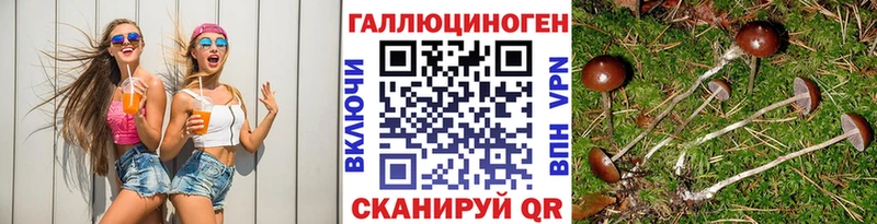 Псилоцибиновые грибы Psilocybine cubensis Исилькуль